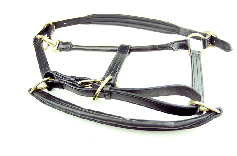Ascot Leather Padded Headcollar - Black-1