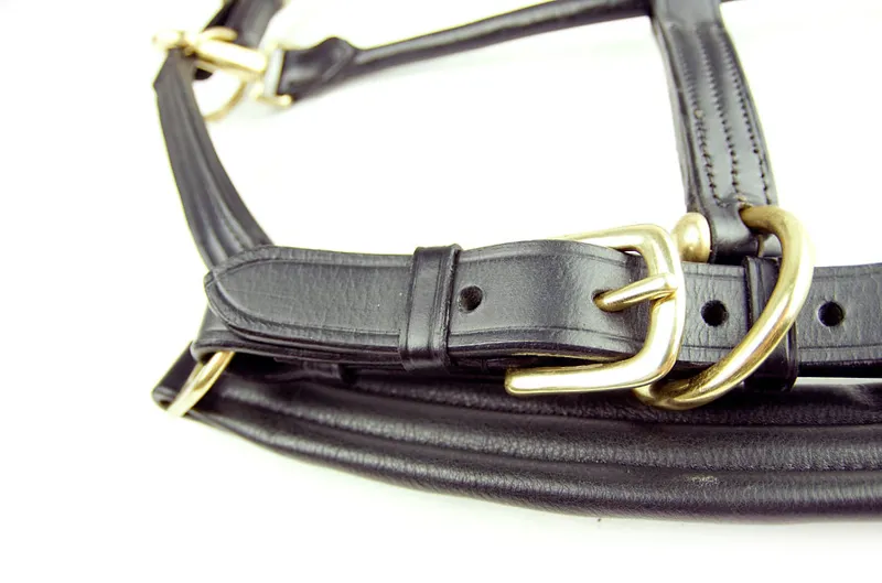 Ascot Leather Padded Headcollar - Brown-2