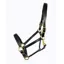 Ascot Leather Padded Headcollar - Black
