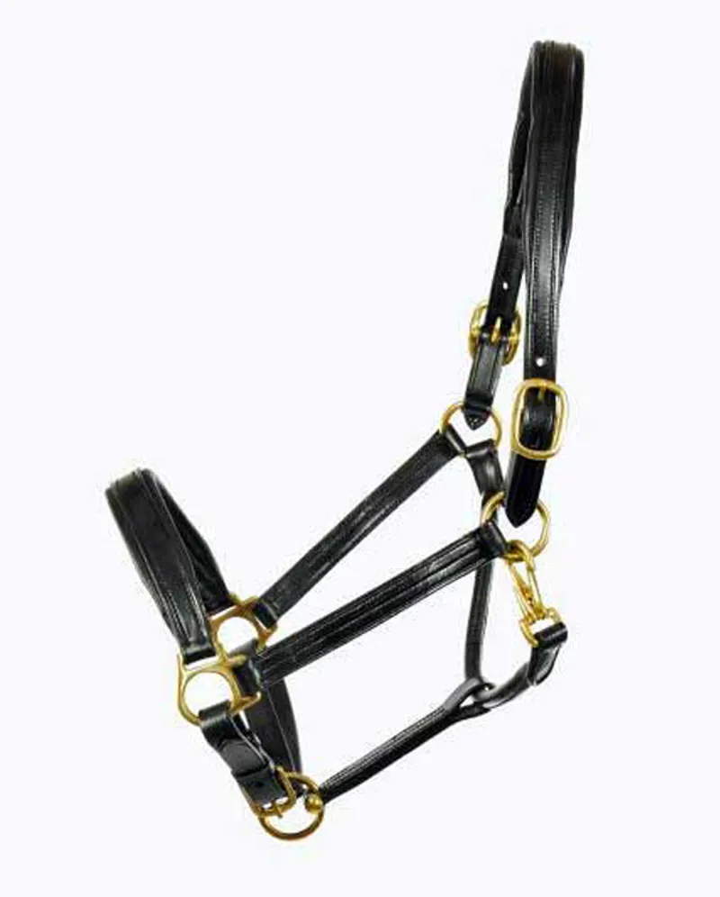 Ascot Leather Padded Headcollar - Brown