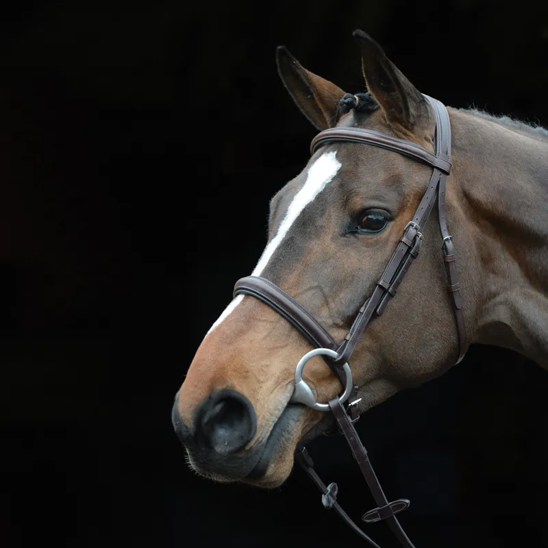 Collegiate Comfort Cavesson Bridle - Black