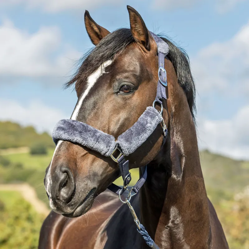 LeMieux Comfort Headcollar - Navy