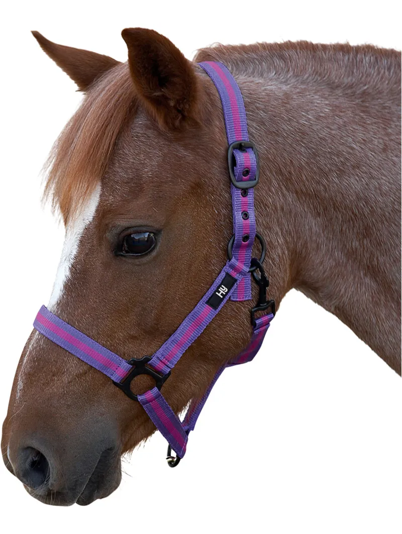 Hy Duo Head Collar - Navy/Light Blue