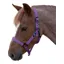 Hy Duo Head Collar - Navy/Light Blue