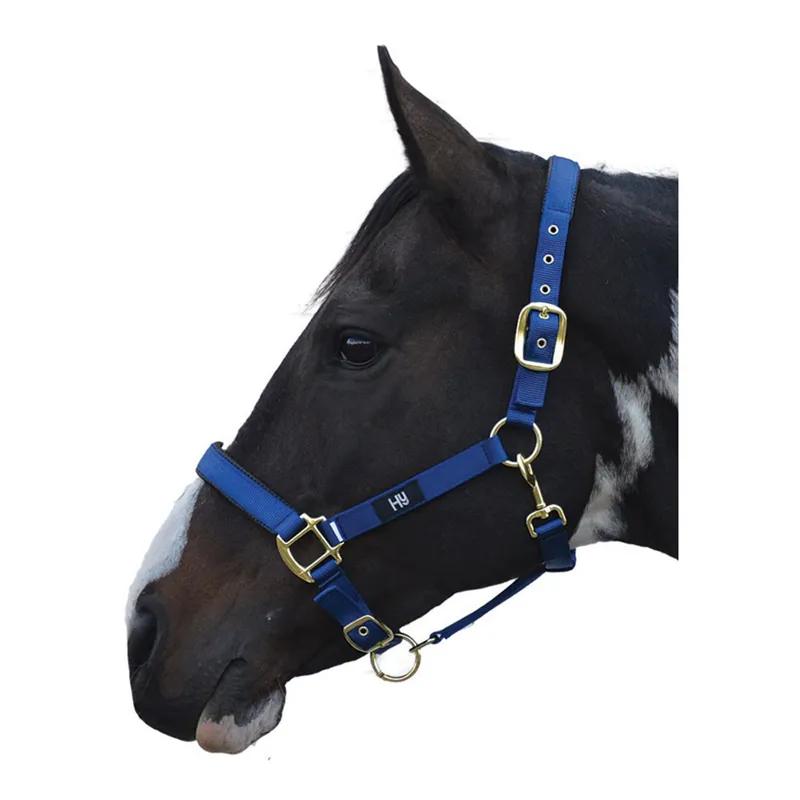 Hy Grand Prix Head Collar - Navy