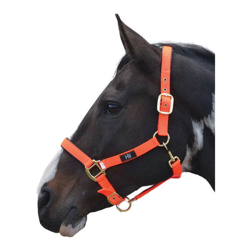 Hy Grand Prix Head Collar - Hot Orange