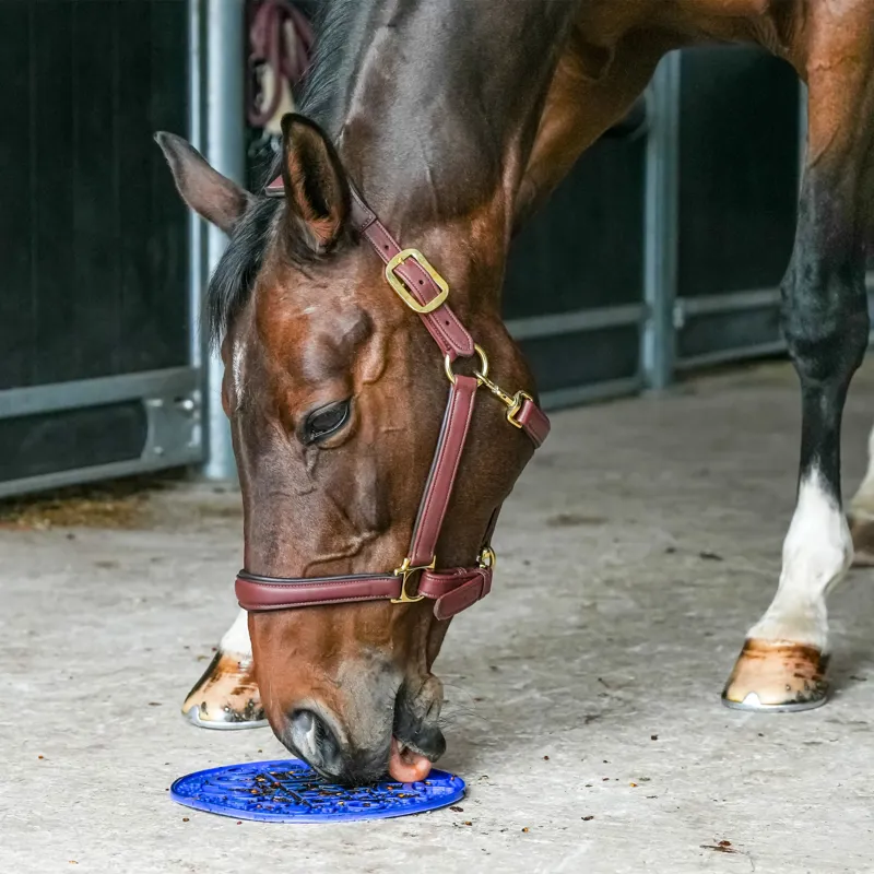 Likit Graze Maze - Blue