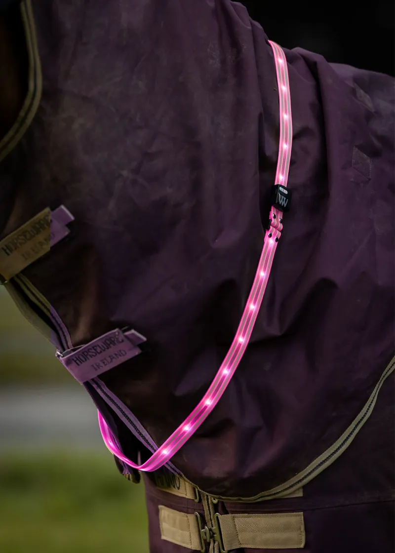 Woof Wear Rechargeable LED Sash - Pink