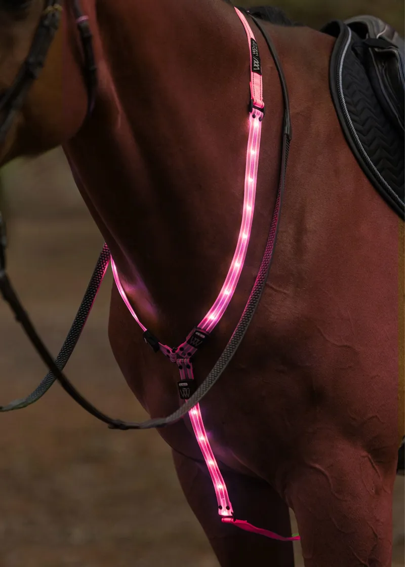 Woof Wear Rechargeable LED Neckband - Pink