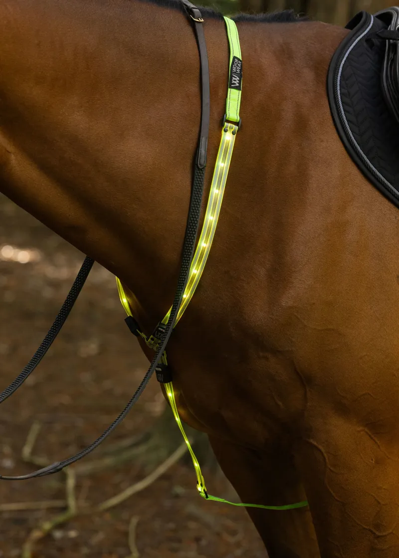 Woof Wear Rechargeable LED Neckband - Yellow-4