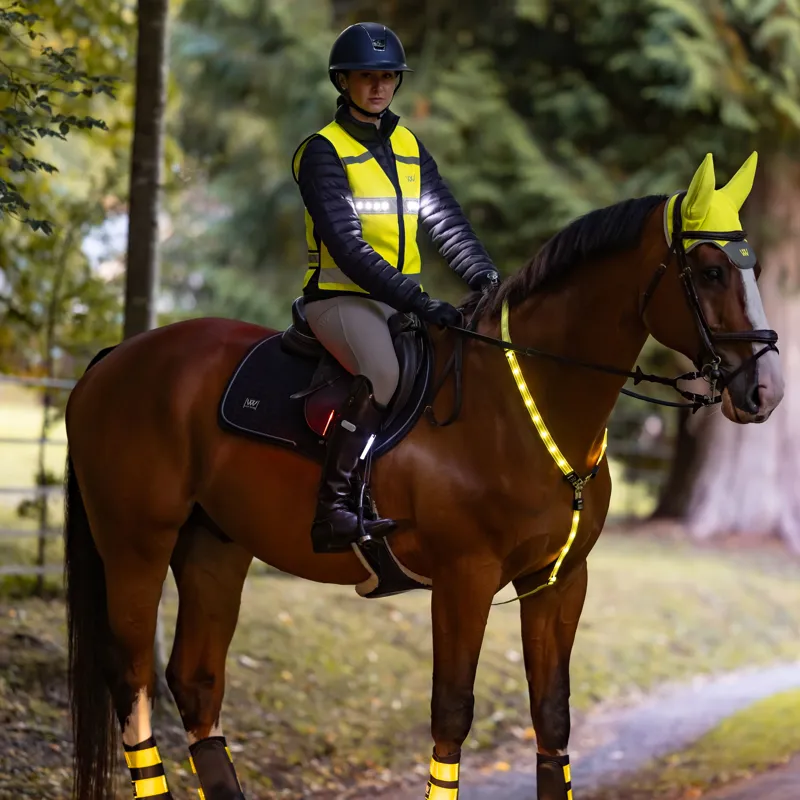 Woof Wear Rechargeable LED Neckband - Yellow-2