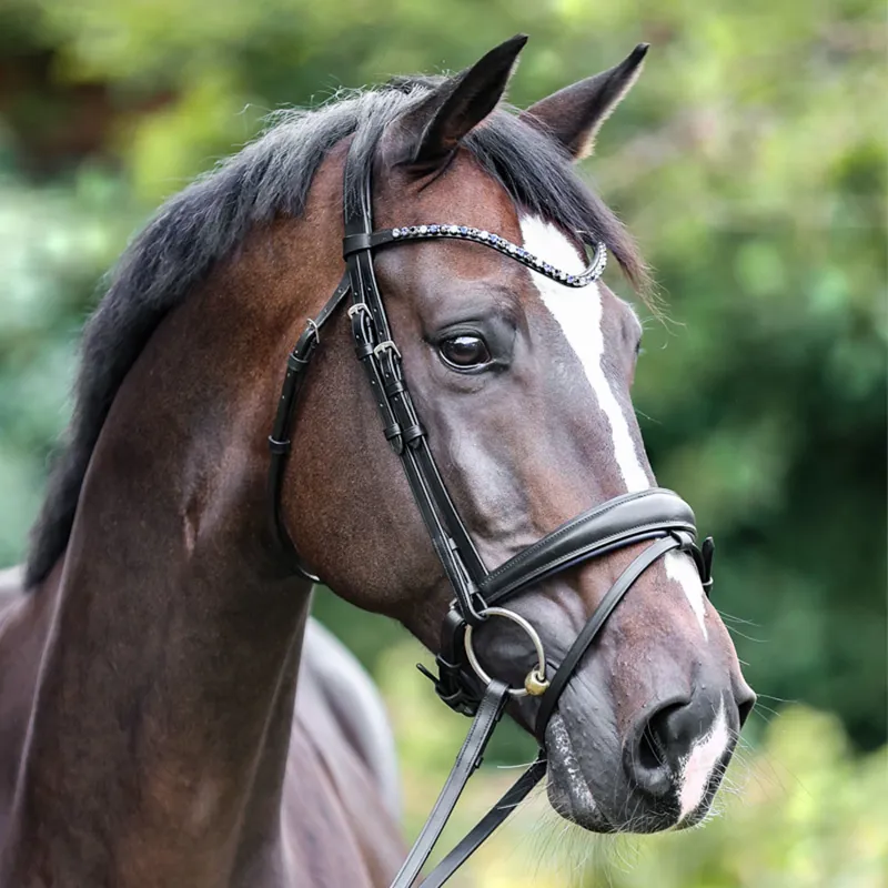 Kavalkade Ocean Flash Bridle - Black - REMOVABLE FLASH