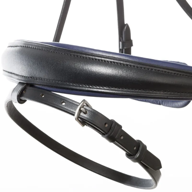 Kavalkade Ocean Flash Bridle - Black - REMOVABLE FLASH-1