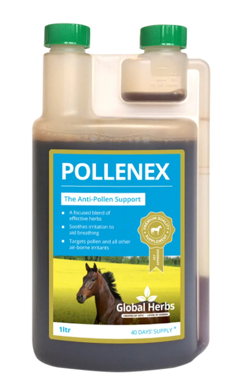 Global Herbs Pollenex Syrup - 1Lt