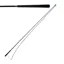 Lunge Whip - Black/Pink - Two Lengths