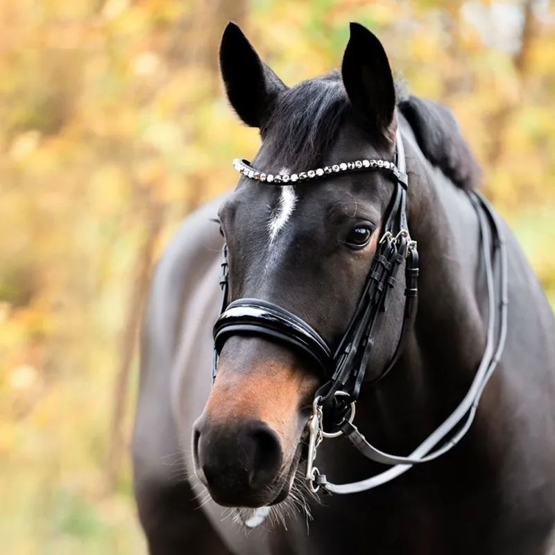 Kavalkade Selina Double Bridle Patent - Black-1