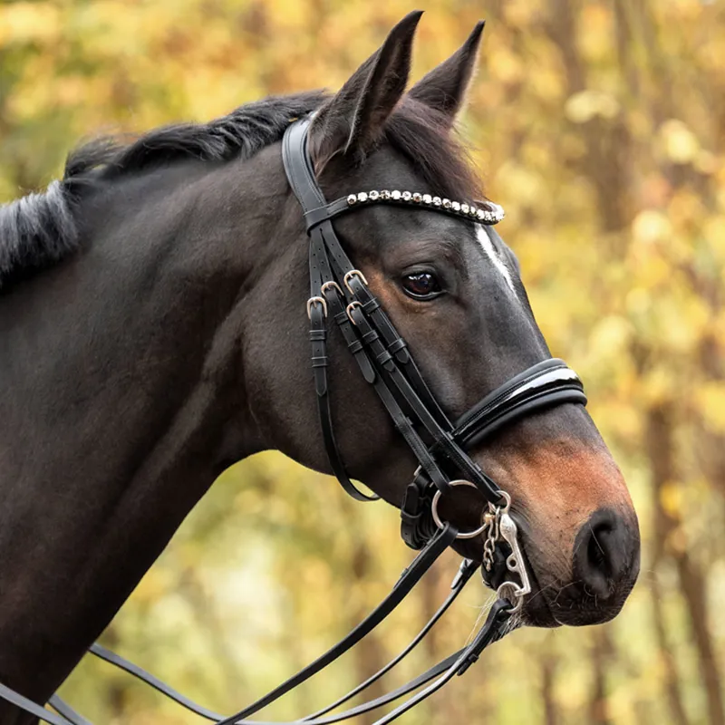 Kavalkade Selina Double Bridle Patent - Black