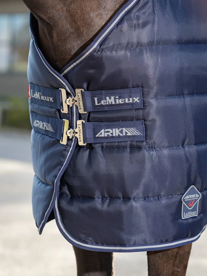 Lemieux Arika Stable-Tek Rug - 200g-3