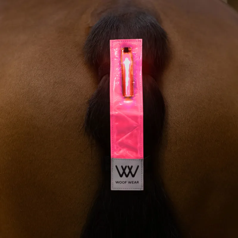 Woof Wear Hi Vis Rechargeable LED Tail Light - Pink