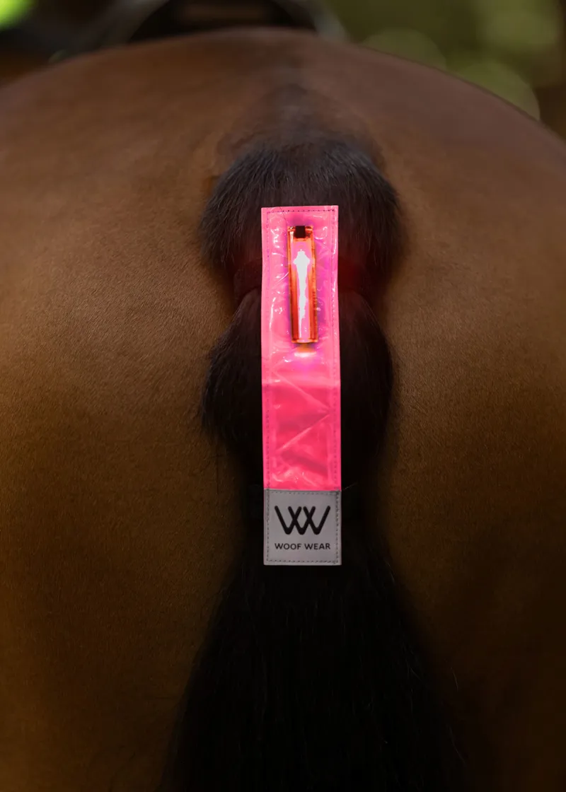 Woof Wear Hi Vis Rechargeable LED Tail Light - Pink-1