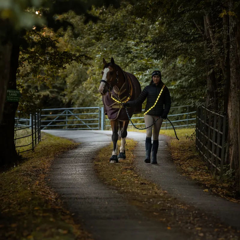 Woof Wear LED Sash - Yellow