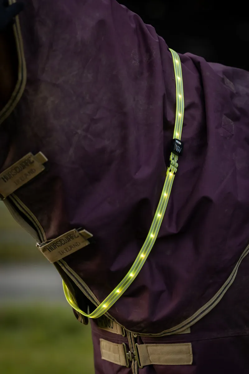 Woof Wear LED Sash - Yellow-1